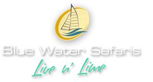 Blue Water Safaris