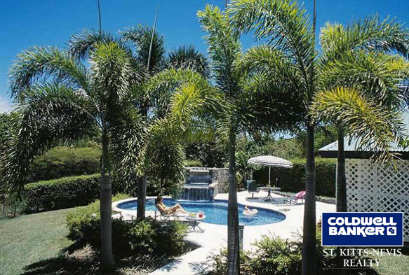 Pool Area for Villa on Nevis