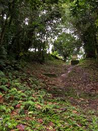 Follow a Nevis Nature Trail