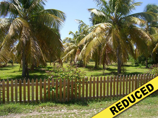 1 of 6 from Oualie Realty