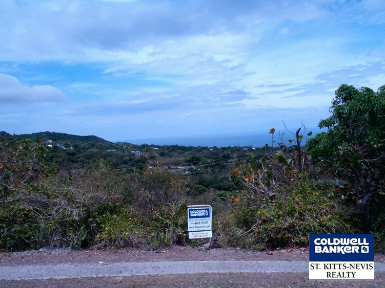 Valley and Ocean view from Oualie Realty