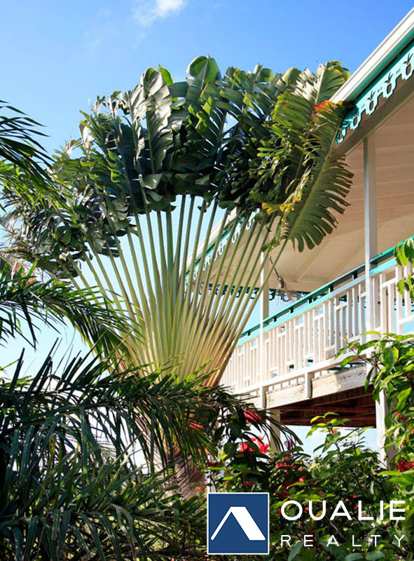 18 of 18 from Coldwell Banker St Kitts and Nevis Realty