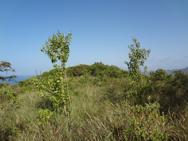 Lot straddles the ridge line from Oualie Realty