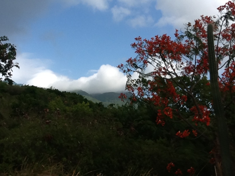 View of Nevis Peak from Oualie Realty