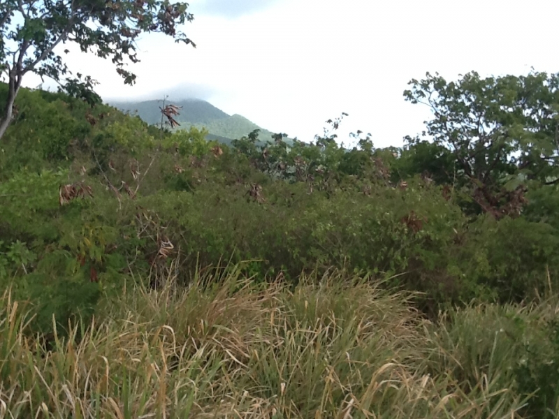  View of the Nevis Peak from Oualie Realty