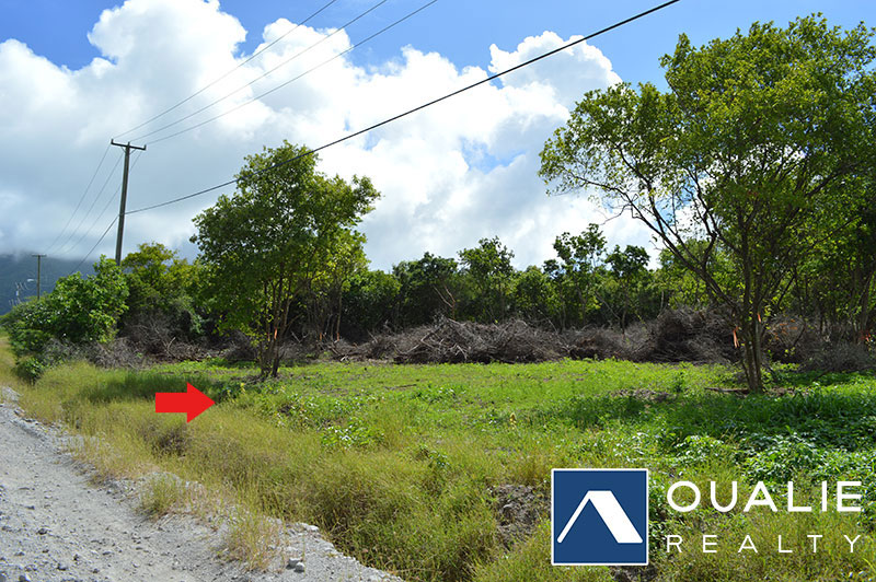 St. Kitts / Nevis real estate