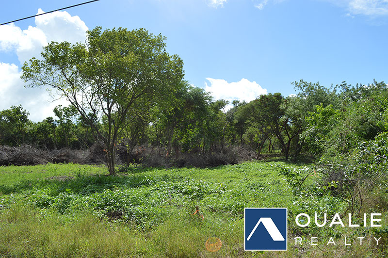 2 of 5 from Oualie Realty