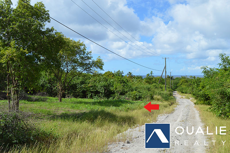 3 of 5 from Oualie Realty