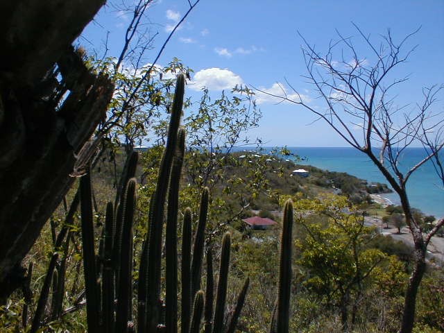 View to the South West from Oualie Realty