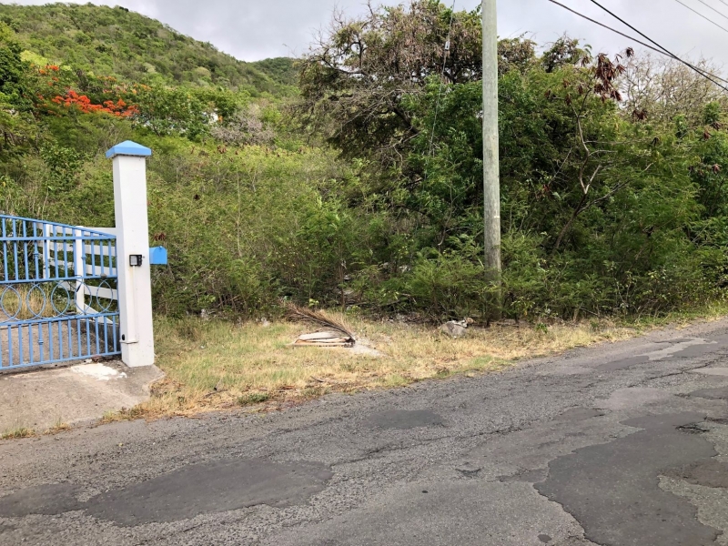 Northern Boundary Fence from Oualie Realty