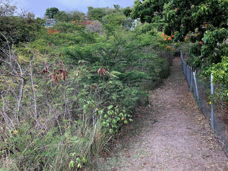 View of the gradual slope of the lot from Oualie Realty