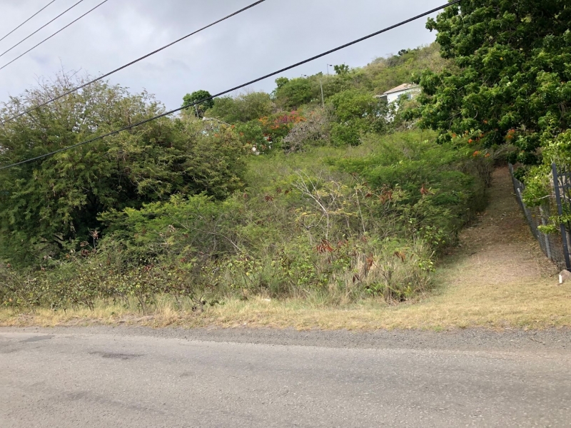 Southern boundary fence from Oualie Realty