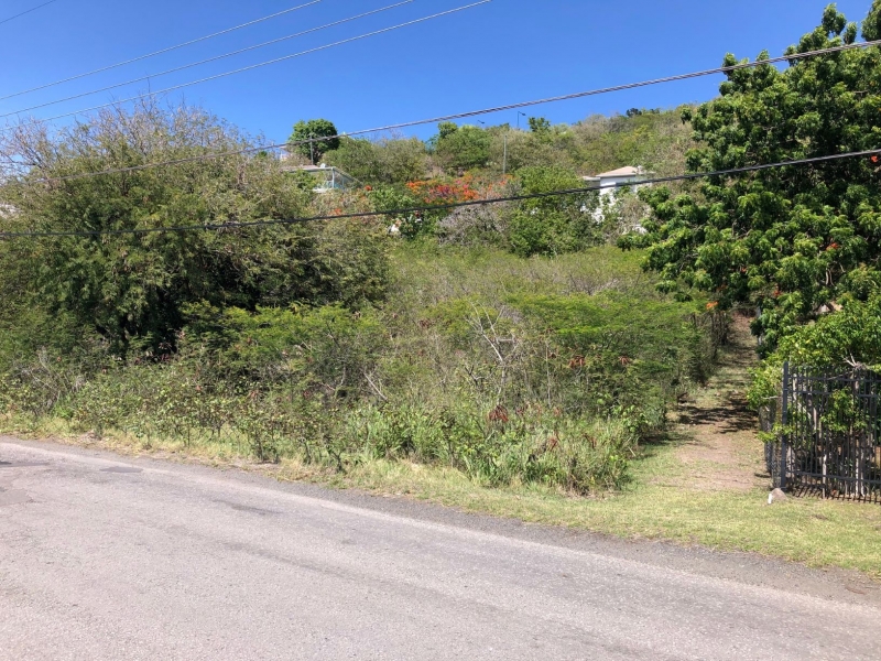 View  of lot from road from Oualie Realty