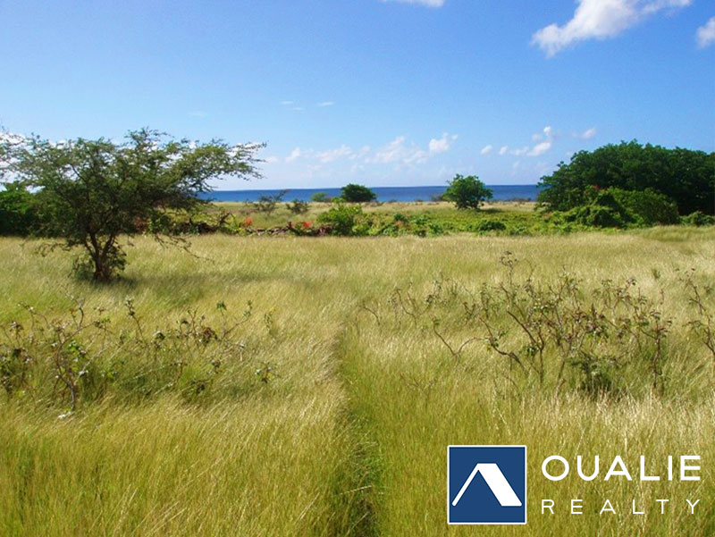9 of 9 from Oualie Realty