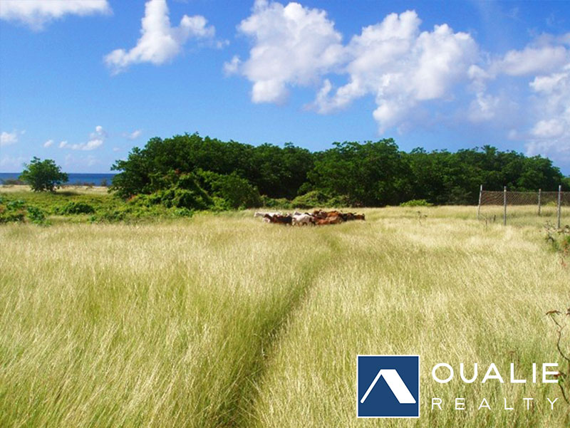 8 of 9 from Oualie Realty