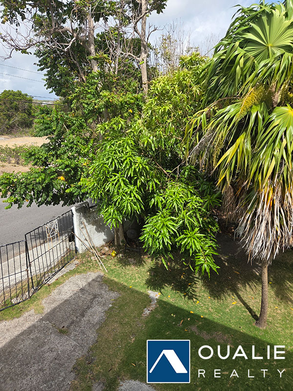 16 of 28 from Oualie Realty
