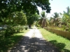 Path leading to the beach thumbnail from Coldwell Banker