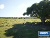 3 of 9 thumbnail from Coldwell Banker