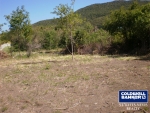1 of 9 thumbnail from Coldwell Banker