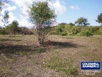 4 of 9 thumbnail from Coldwell Banker