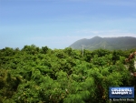 18 of 21 thumbnail from Coldwell Banker