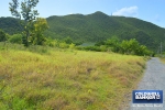 3 of 6 thumbnail from Coldwell Banker