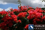 24 of 28 thumbnail from Coldwell Banker St Kitts and Nevis Realty