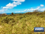 3 of 12 thumbnail from Coldwell Banker