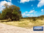 4 of 12 thumbnail from Coldwell Banker