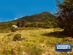 8 of 12 thumbnail from Coldwell Banker