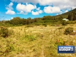 9 of 12 thumbnail from Coldwell Banker