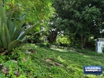 6 of 7 thumbnail from Coldwell Banker