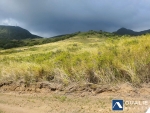 3 of 5 thumbnail from Coldwell Banker