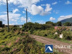 3 of 9 thumbnail from Coldwell Banker