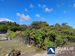5 of 9 thumbnail from Coldwell Banker